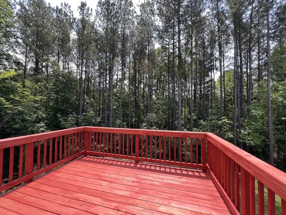 High quality and affordable services